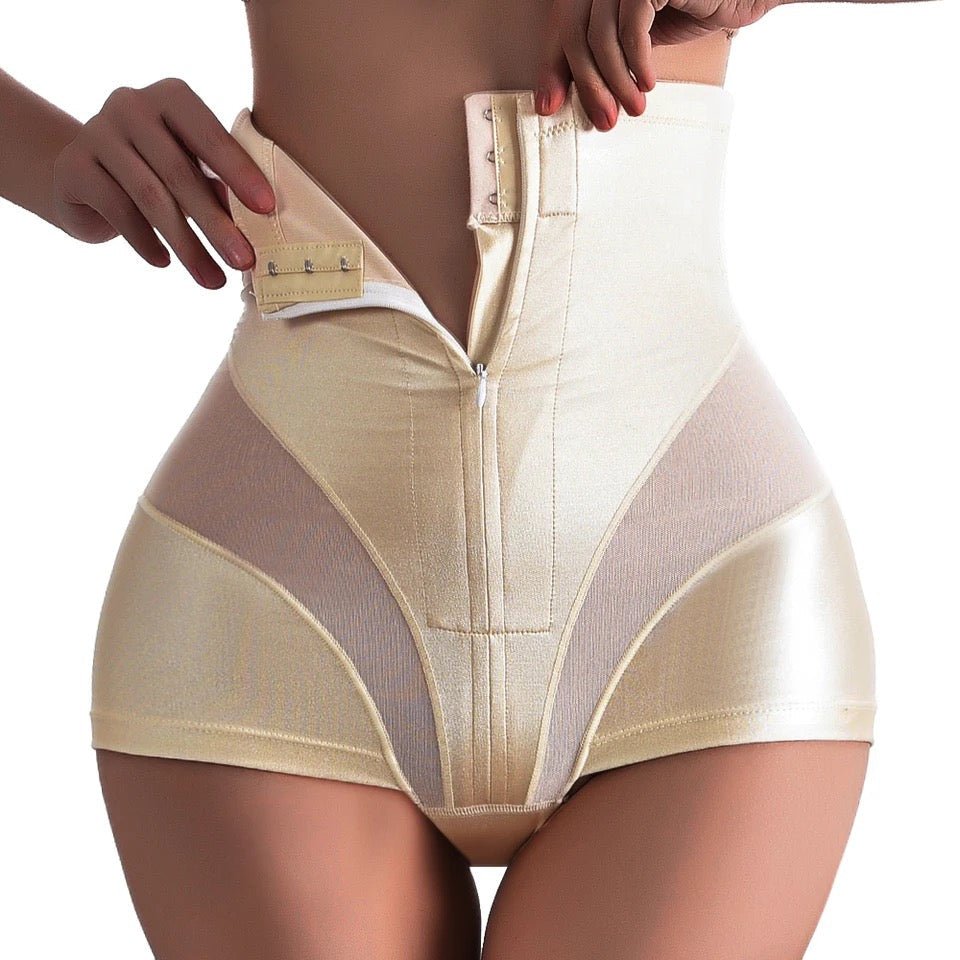 Lainey Tummy & Waist Shaping Panty With Hooks & Zip - House Of Reese