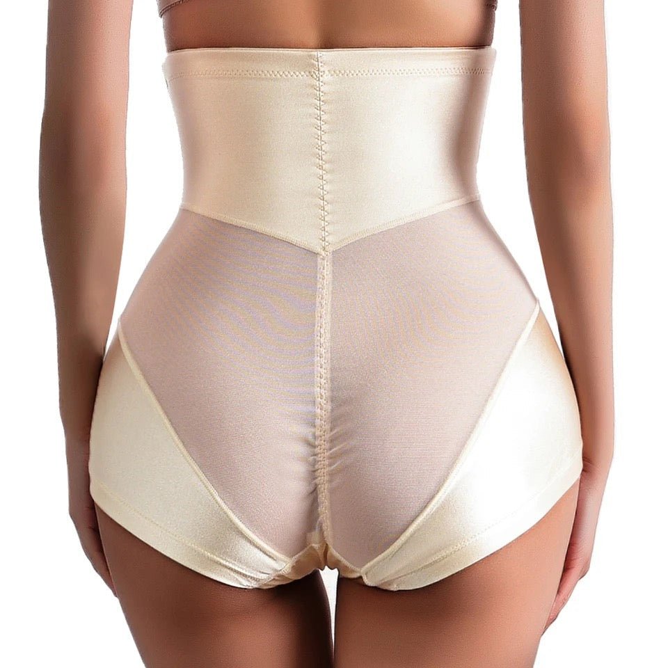 Lainey Tummy & Waist Shaping Panty With Hooks & Zip - House Of Reese